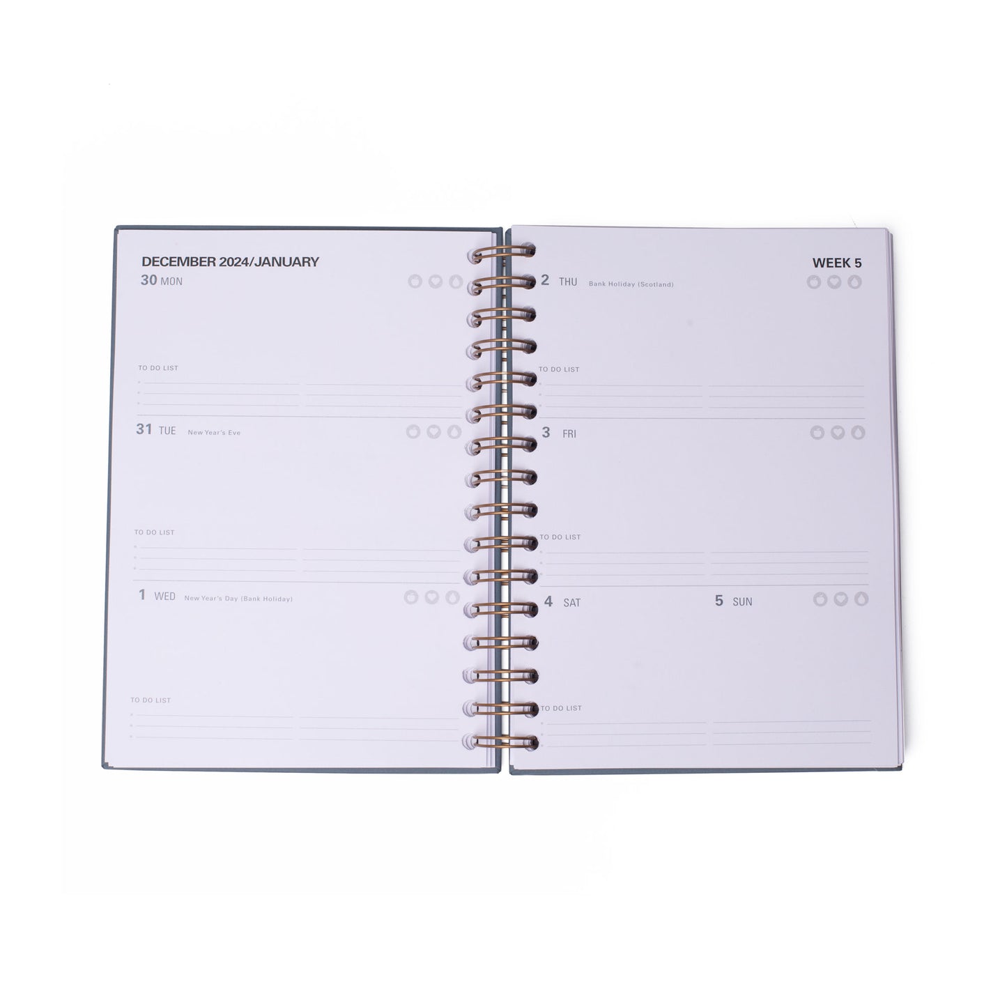 2025 DIARY/PLANNER (GREY)