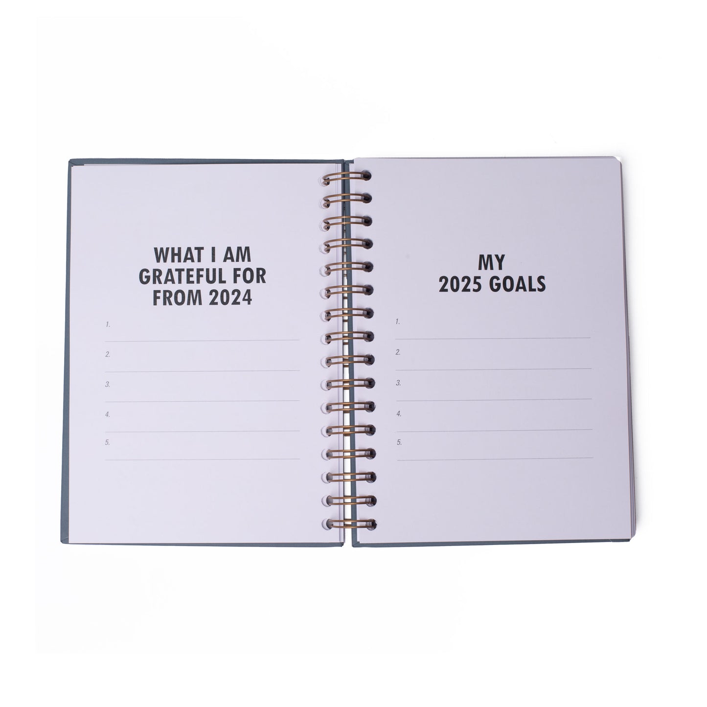 2025 DIARY/PLANNER (WHITE)