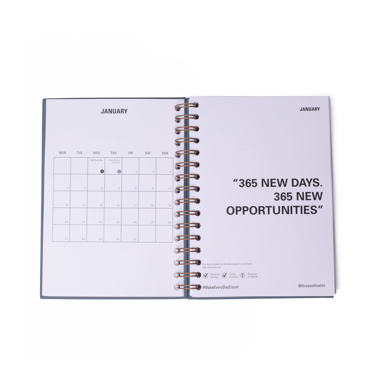 2025 DIARY/PLANNER (WHITE)